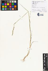 SW_BNB_s3070-00709_IMG-0000000001