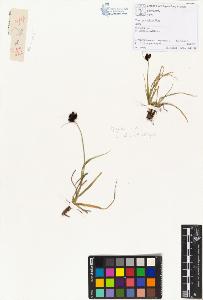 SW_BNB_s3070-00712_IMG-0000000001