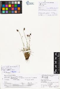 SW_BNB_s3070-00715_IMG-0000000001