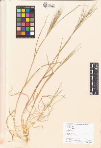 SW_BNB_s3070-00716_IMG-0000000001