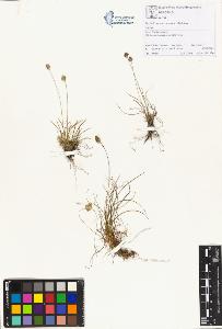 SW_BNB_s3070-00720_IMG-0000000001