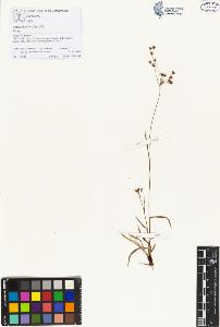 SW_BNB_s3070-00724_IMG-0000000001