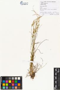 SW_BNB_s3070-00726_IMG-0000000001