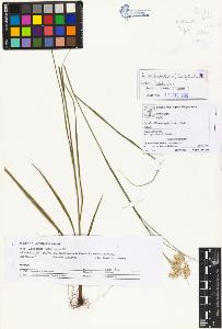 SW_BNB_s3070-00727_IMG-0000000001