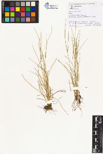 SW_BNB_s3070-00728_IMG-0000000001