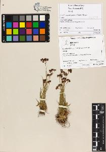 SW_BNB_s3070-00731_IMG-0000000001