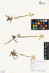 SW_BNB_s3070-00734_IMG-0000000001