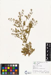 SW_BNB_s3070-00740_IMG-0000000001