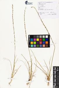 SW_BNB_s3070-00745_IMG-0000000001