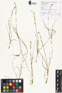 SW_BNB_s3070-00746_IMG-0000000001