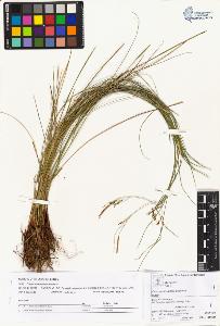 SW_BNB_s3070-00754_IMG-0000000001