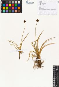 SW_BNB_s3070-00756_IMG-0000000001