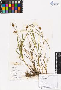 SW_BNB_s3070-00757_IMG-0000000001