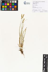 SW_BNB_s3070-00758_IMG-0000000001