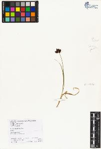 SW_BNB_s3070-00761_IMG-0000000001