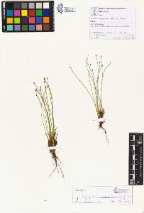 SW_BNB_s3070-00767_IMG-0000000001