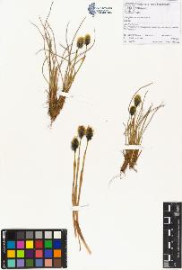 SW_BNB_s3070-00769_IMG-0000000001