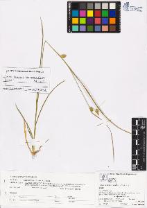 SW_BNB_s3070-00773_IMG-0000000001
