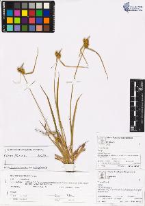SW_BNB_s3070-00774_IMG-0000000001