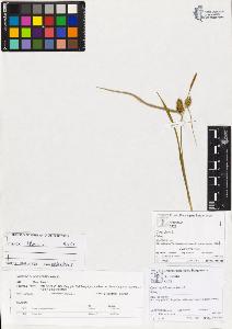 SW_BNB_s3070-00778_IMG-0000000001