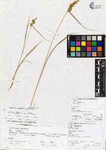 SW_BNB_s3070-00779_IMG-0000000001