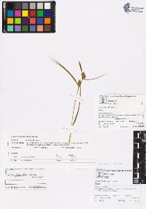 SW_BNB_s3070-00781_IMG-0000000001