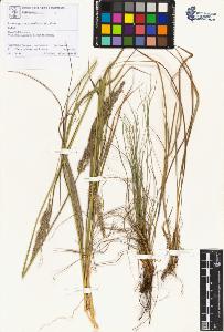 SW_BNB_s3070-00787_IMG-0000000001