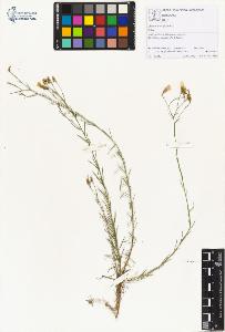 SW_BNB_s3070-00789_IMG-0000000001