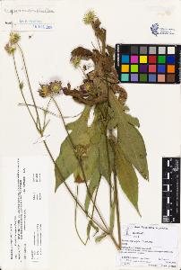 SW_BNB_s3070-00793_IMG-0000000001