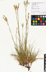 SW_BNB_s3070-00794_IMG-0000000001
