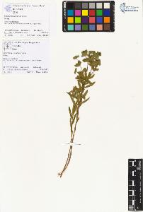 SW_BNB_s3070-00795_IMG-0000000001