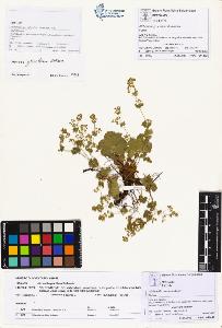 SW_BNB_s3070-00796_IMG-0000000001