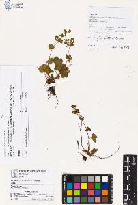 SW_BNB_s3070-00797_IMG-0000000001