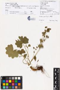 SW_BNB_s3070-00798_IMG-0000000001