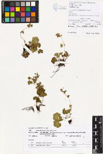 SW_BNB_s3070-00801_IMG-0000000001