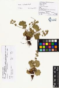 SW_BNB_s3070-00802_IMG-0000000001