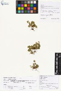 SW_BNB_s3070-00804_IMG-0000000001