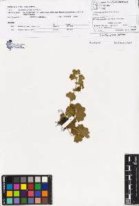 SW_BNB_s3070-00807_IMG-0000000001