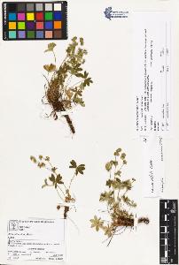 SW_BNB_s3070-00809_IMG-0000000001