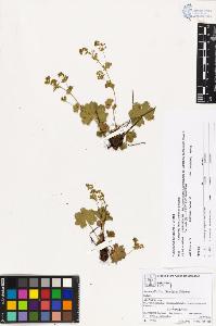 SW_BNB_s3070-00810_IMG-0000000001