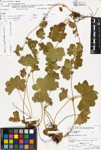 SW_BNB_s3070-00811_IMG-0000000001