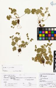 SW_BNB_s3070-00813_IMG-0000000001