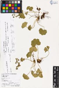 SW_BNB_s3070-00814_IMG-0000000001