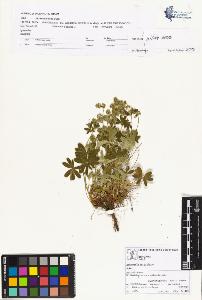 SW_BNB_s3070-00816_IMG-0000000001