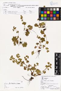 SW_BNB_s3070-00819_IMG-0000000001