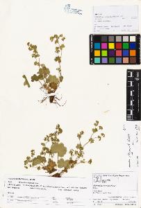 SW_BNB_s3070-00821_IMG-0000000001