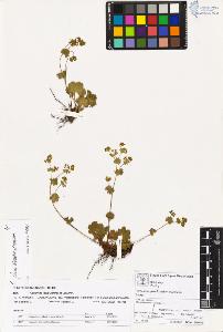 SW_BNB_s3070-00825_IMG-0000000001