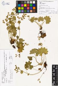 SW_BNB_s3070-00827_IMG-0000000001