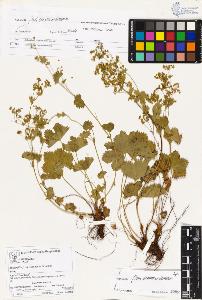 SW_BNB_s3070-00828_IMG-0000000001