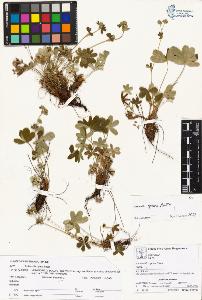 SW_BNB_s3070-00830_IMG-0000000001